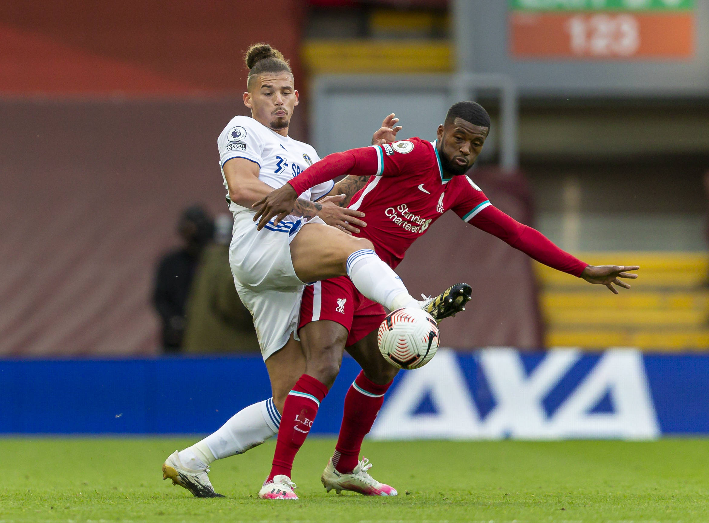 还可能损害 还可能损害