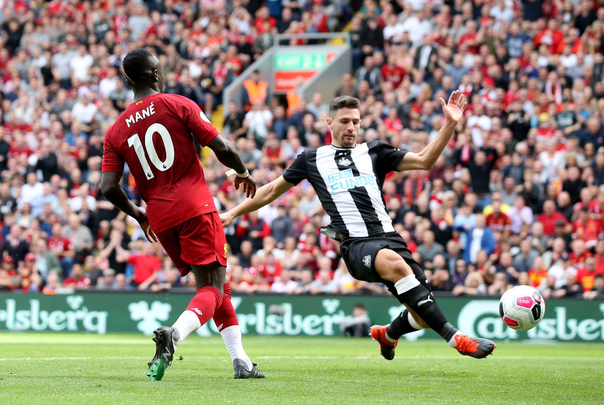 提供了新的 提供了新的